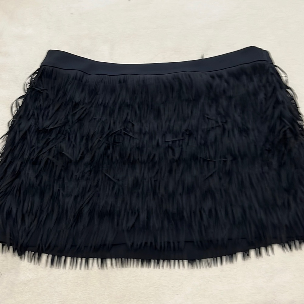 Skirt from Express